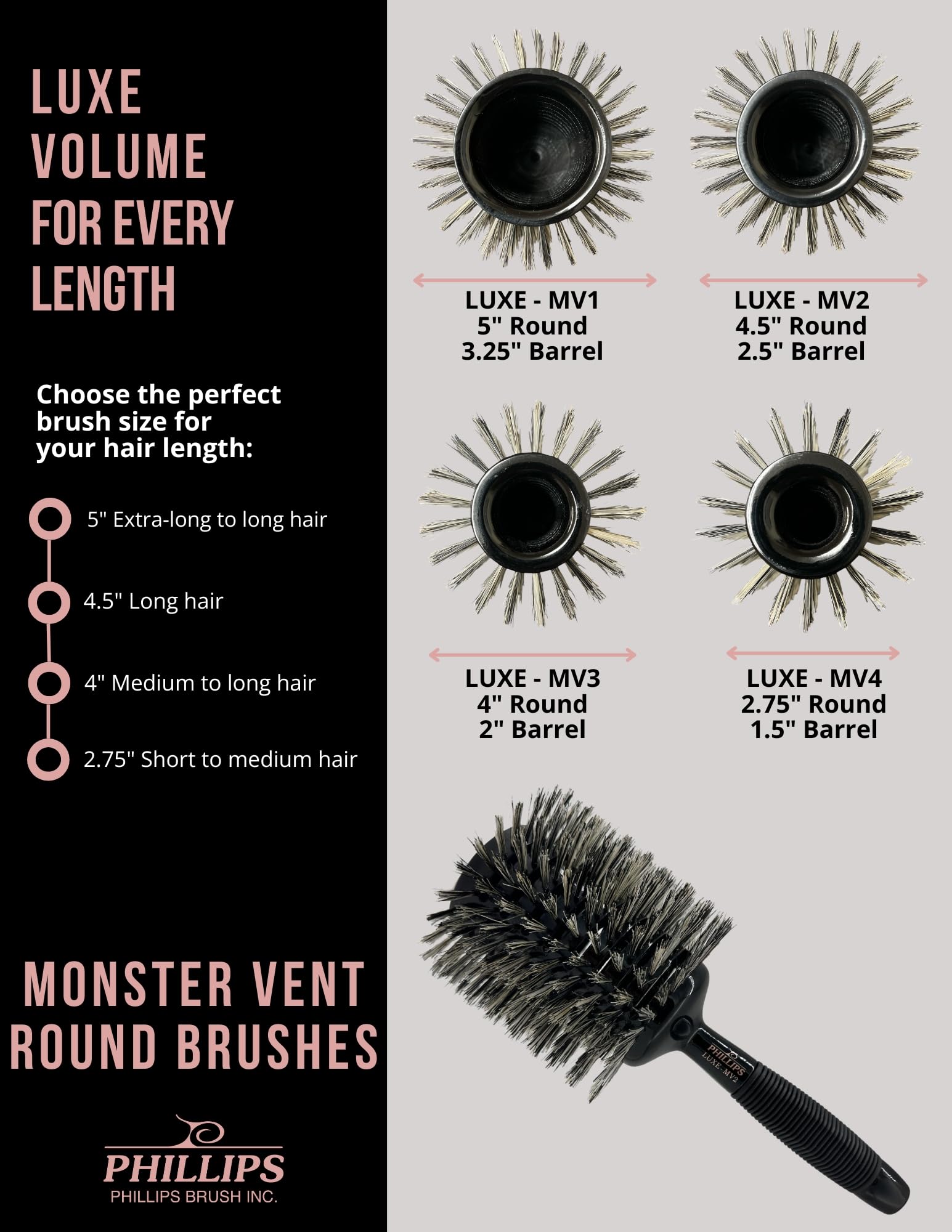 Amazon.com : Phillips Brush Luxe Monster Vent 2 Professional Hair